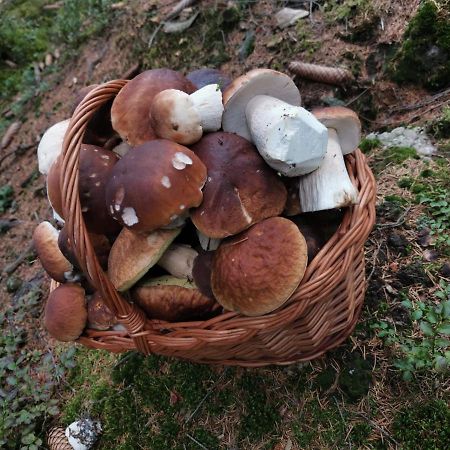 Hostinec U Pejska A Kocicky Mariánské Lázně Exteriör bild