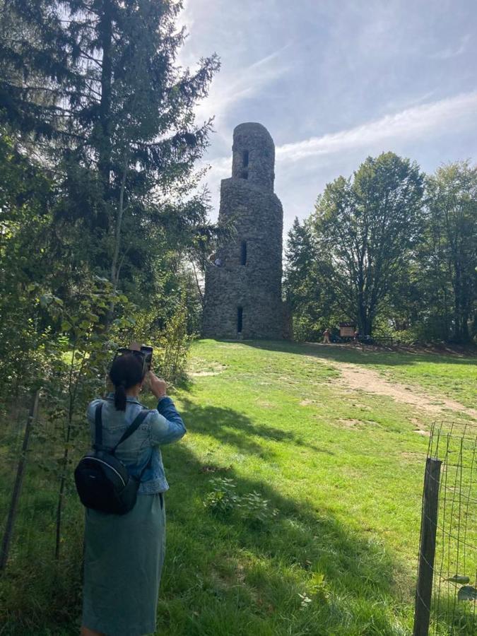 Hostinec U Pejska A Kocicky Mariánské Lázně Exteriör bild