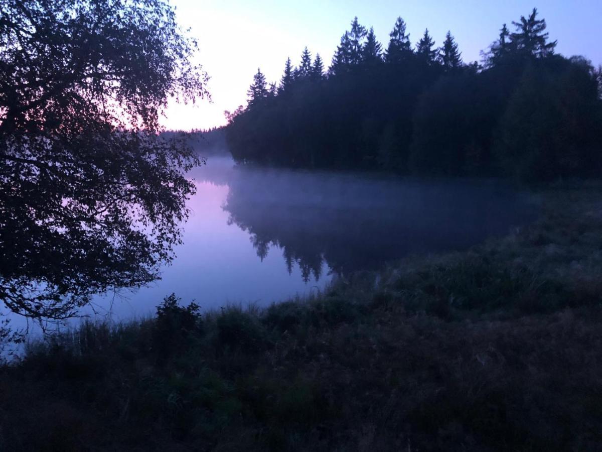 Hostinec U Pejska A Kocicky Mariánské Lázně Exteriör bild
